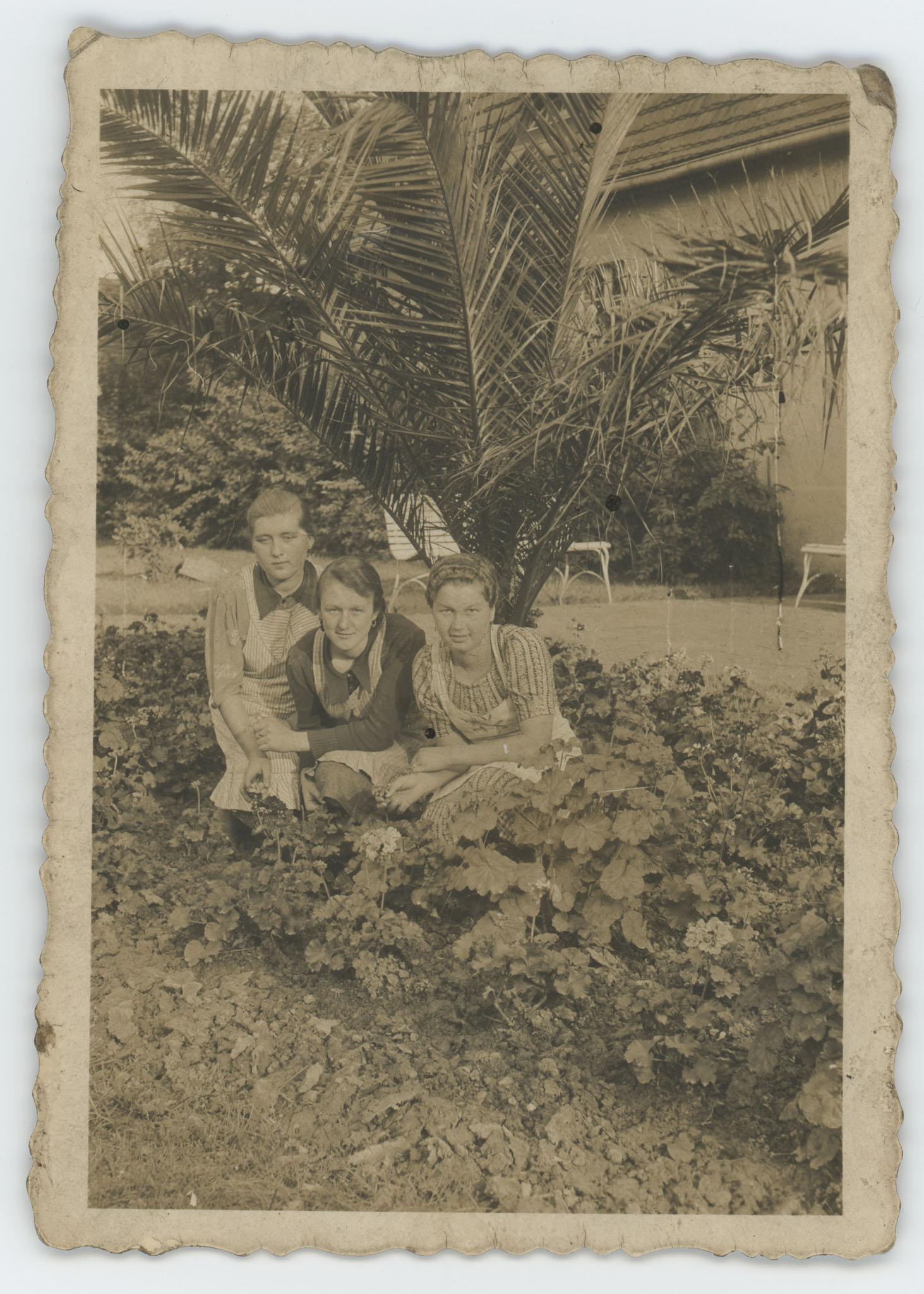 W parku podczas prac porządkowych babcia Ania ma 16 lat; w tle łazienki i palmy / ok. 1937 r.