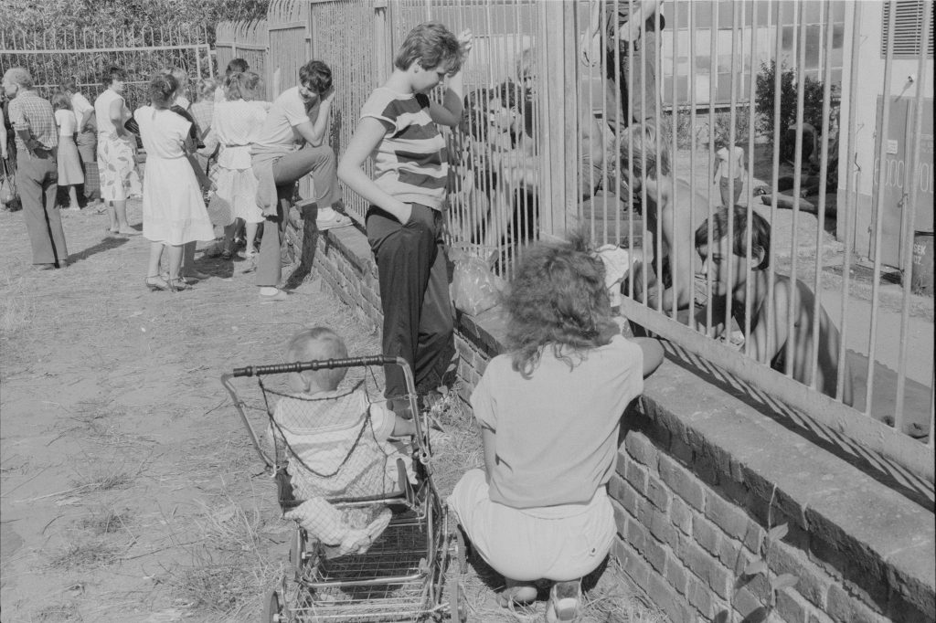 Strajk na Manifeście Lipowym – sierpień ’88